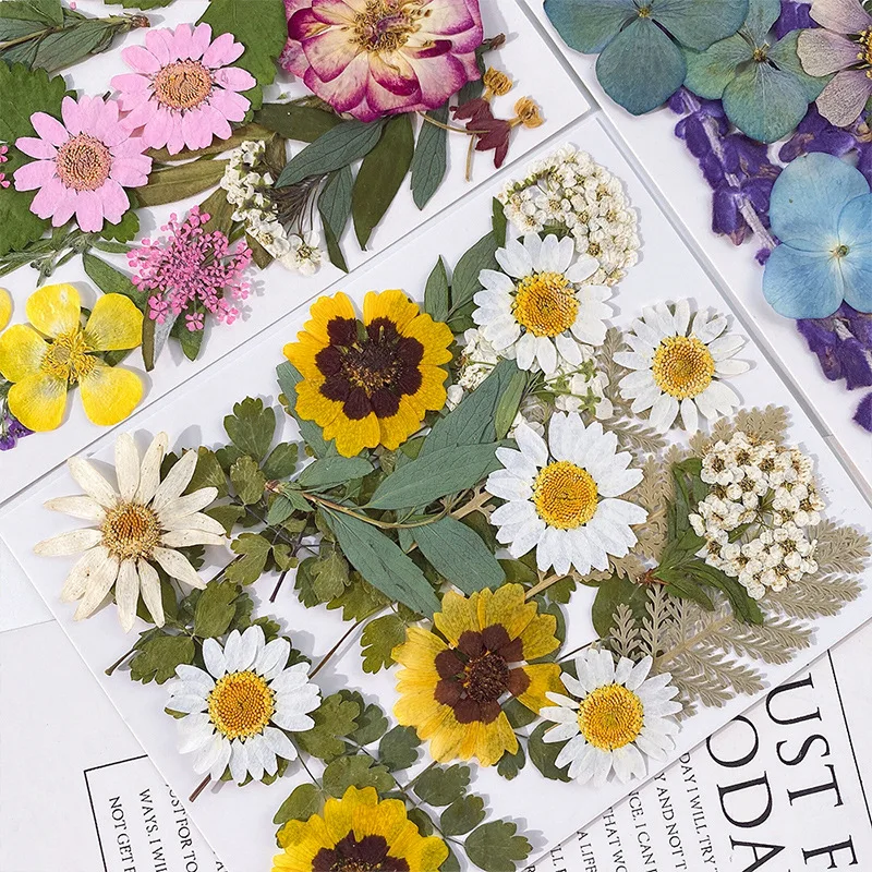 Jewelry Making 3 Year Old - 20PCS Set Pressed Dried Flowers for