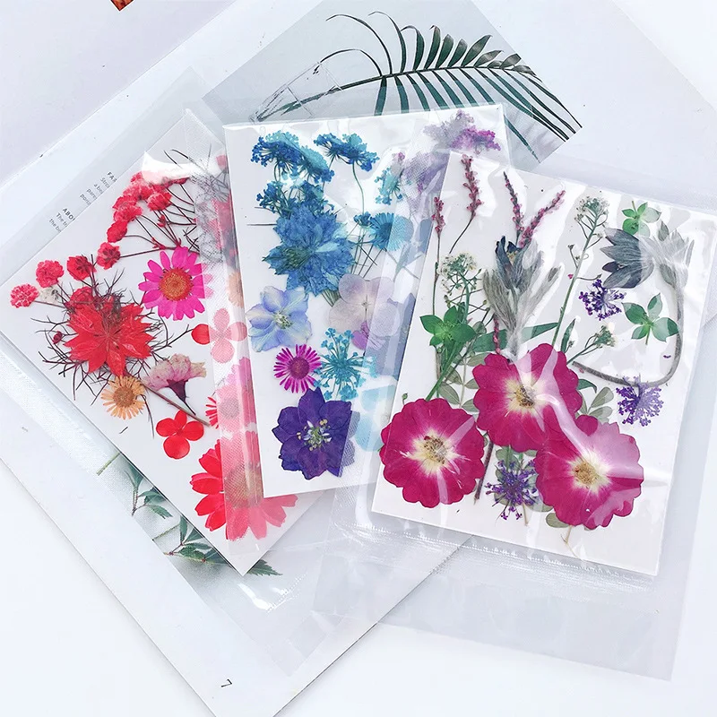 20PCS Set Pressed Dried Flower - Jewelry Making 3 Year Old avis et prix