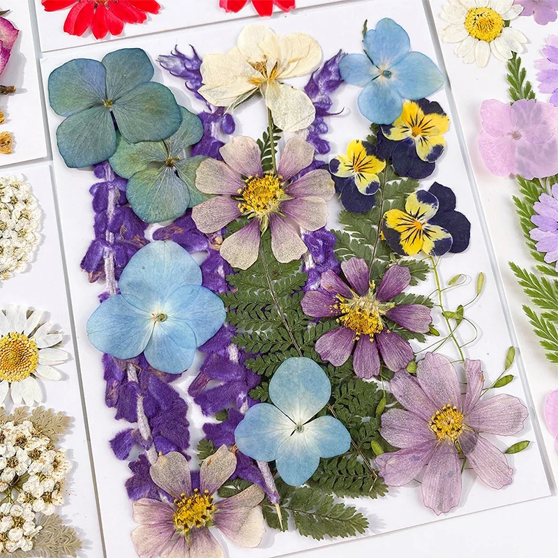 20PCS Set Pressed Dried Flower - Jewelry Making 3 Year Old avis et prix