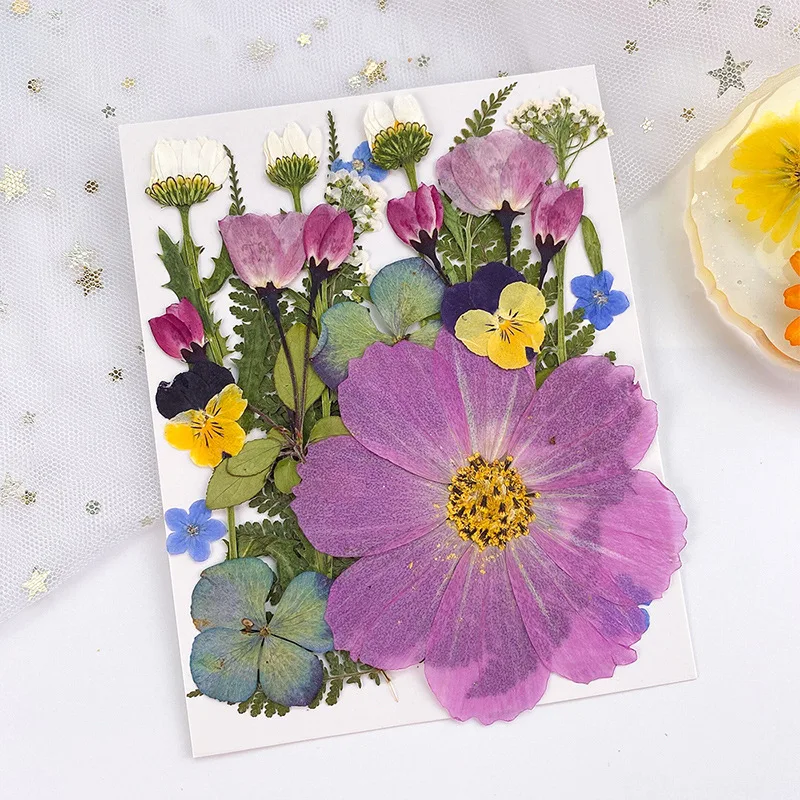 20PCS Set Pressed Dried Flower - Jewelry Making 3 Year Old avis et prix