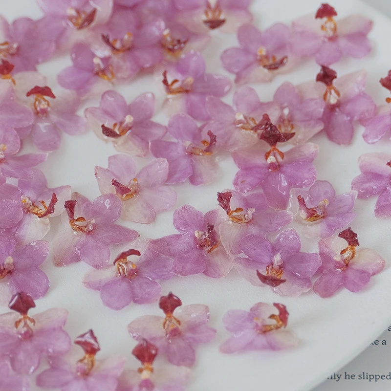 DIY Jewelry Natural Pink Resin - Jewelry Making Birthday Party avis et prix