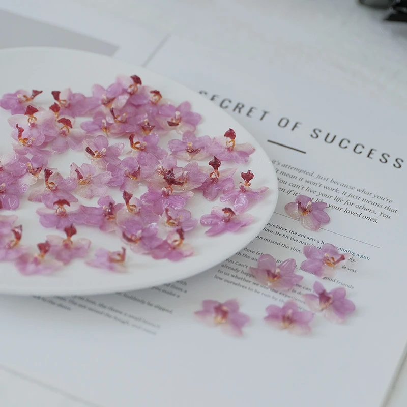 DIY Jewelry Natural Pink Resin - Jewelry Making Birthday Party avis et prix
