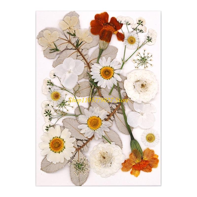 C4DF 22Pcs Dried Flower For Bo - Jewelry Making Party For Adults avis et prix